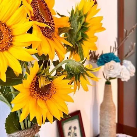 Casa Corinaldesi * Marotta